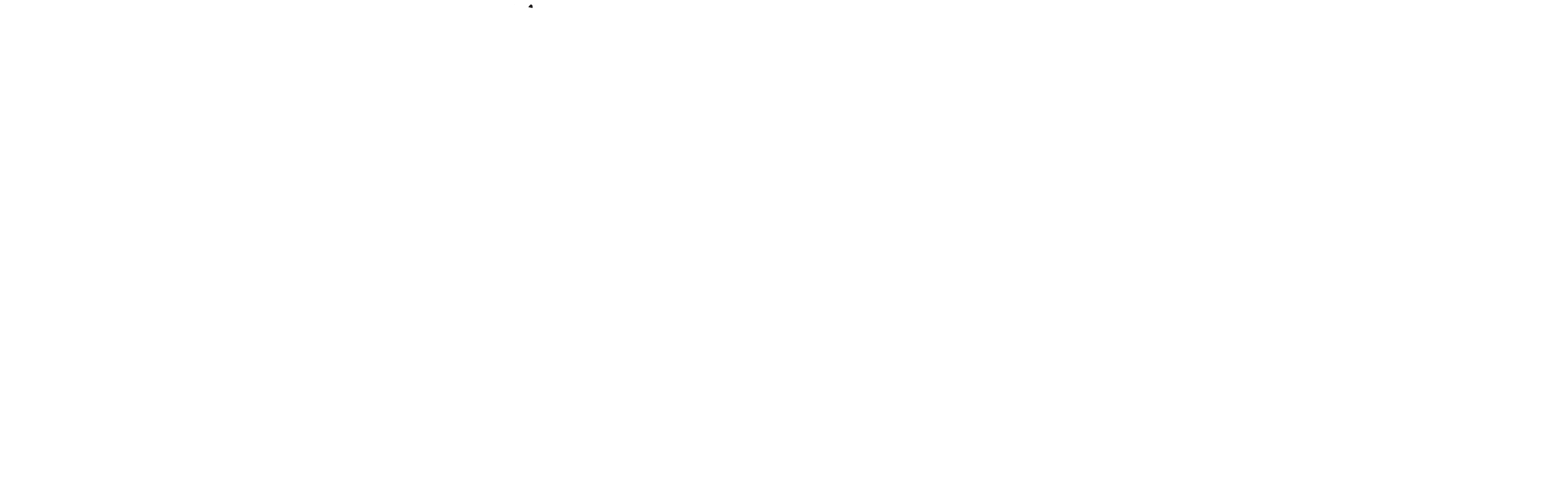 Logo Basic Trasando Bianco